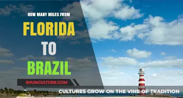 Exploring the Distance: Florida to Brazil in Miles