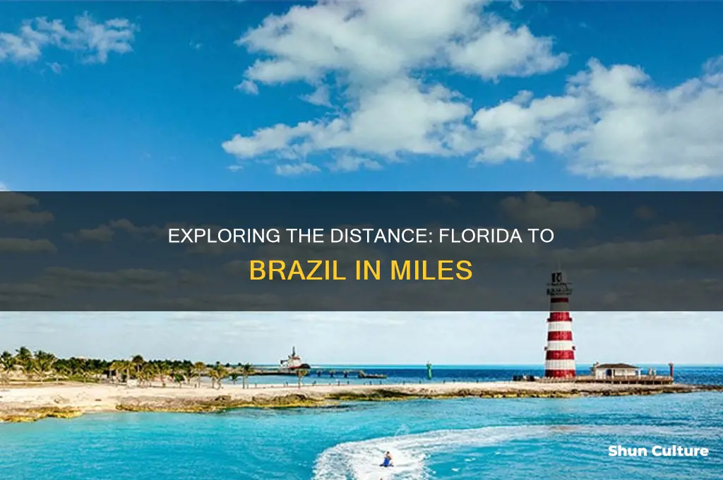 how many miles from florida to brazil