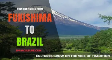 Exploring the Distance: Fukushima to Brazil in Miles