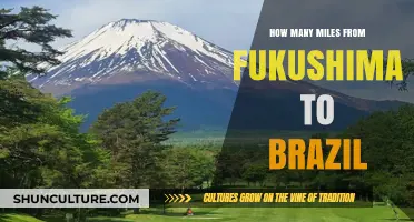 Fukushima to Brazil: Uncovering the Distance Between Two Continents