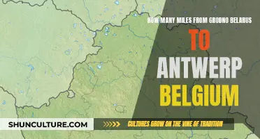 Exploring the Miles: Grodno to Antwerp, a European Trek