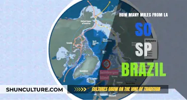 LA to São Paulo: Unveiling the Mileage Between Two Global Hubs