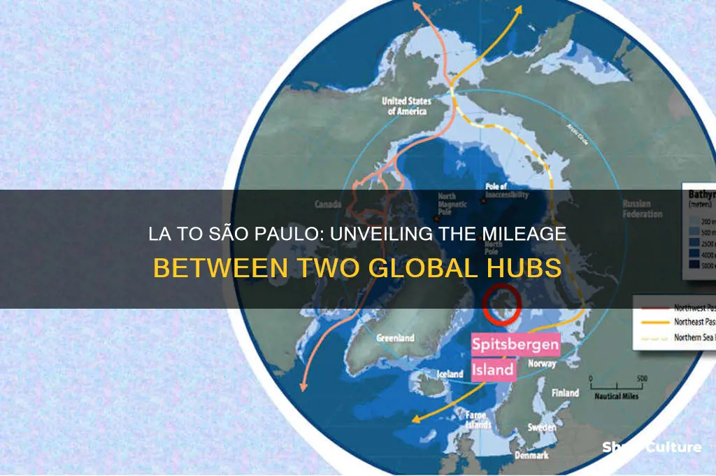 how many miles from la so sp brazil