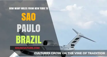 New York to São Paulo: Exploring the Distance Between Two Iconic Cities