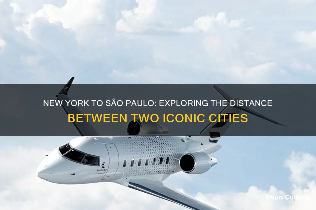 how many miles from new york to sao paulo brazil