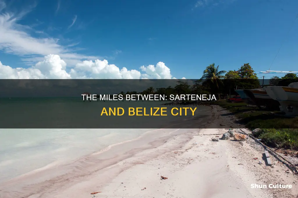 how many miles from sarteneja town from belize city