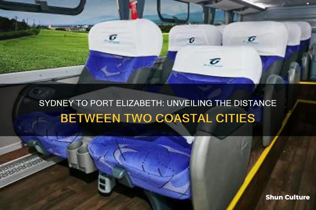 how many miles from sydney australia to port elizabeth