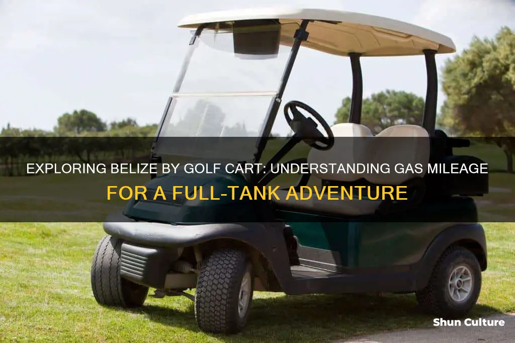 how many miles full tank of gas golf cart belize