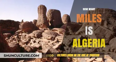 Exploring Algeria's Vast Size: Total Miles and Geographic Insights