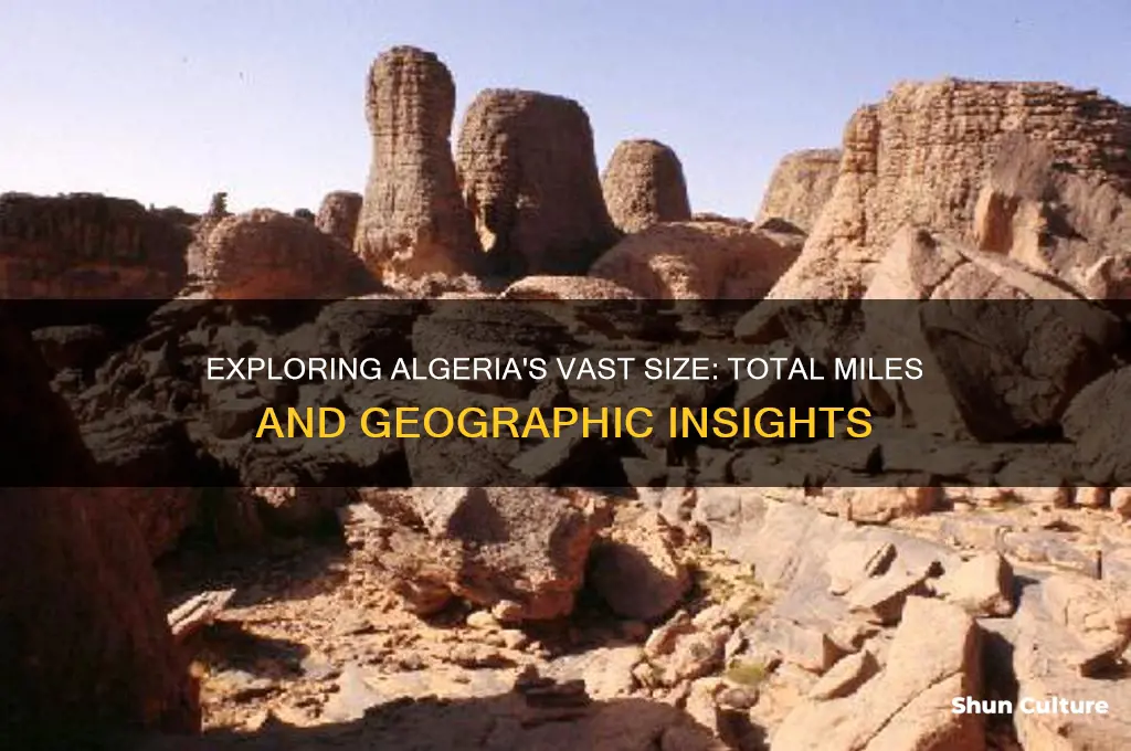 how many miles is algeria