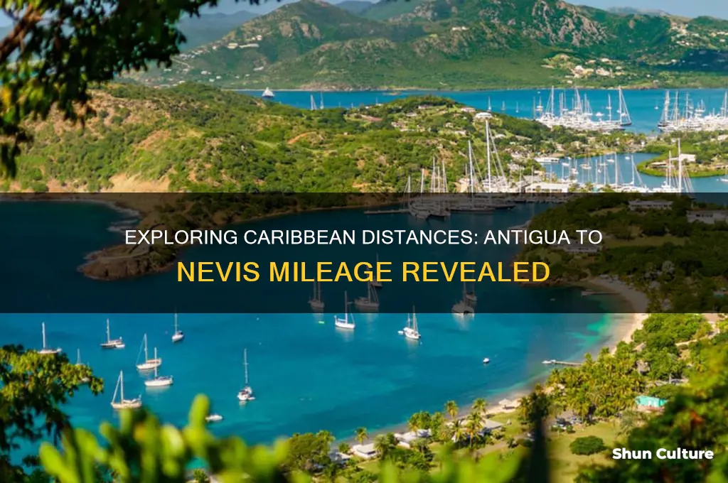 how many miles is antigua from nevis