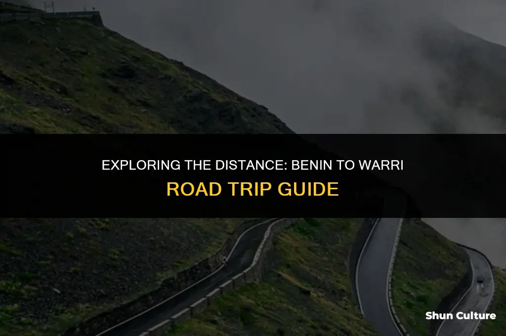 how many miles is benin to warri