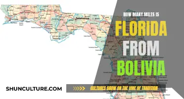 Exploring the Distance: Florida to Bolivia Miles Adventure