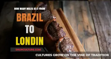 Exploring the Distance: Brazil to London in Miles