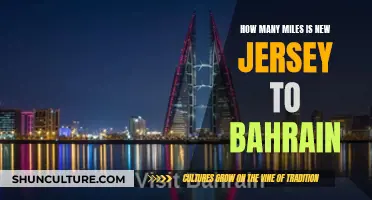 Exploring Miles: New Jersey to Bahrain Distance Revealed