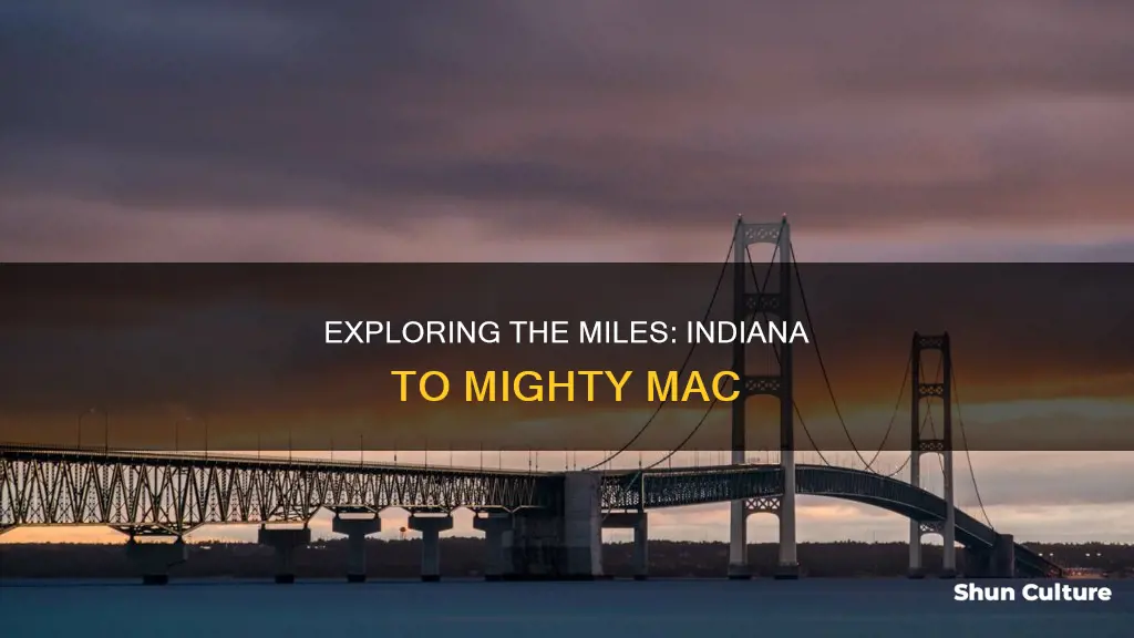 how many miles to the mackinac bridge from angola indiana