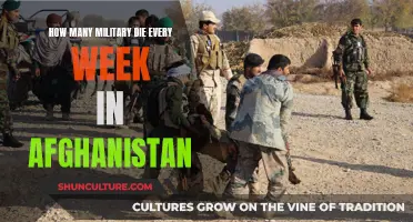 The Weekly Toll of War: Afghanistan's Enduring Tragedy