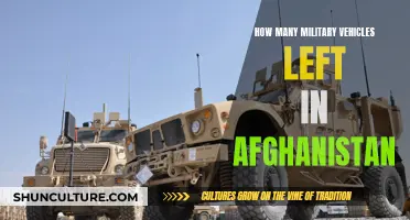 A Costly Abandonment: The Left-Behind Military Arsenal in Afghanistan