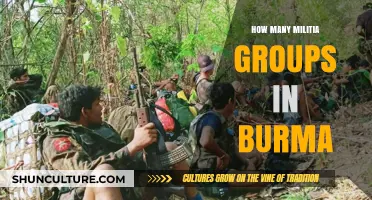 Exploring the Complex Landscape of Militia Groups in Burma