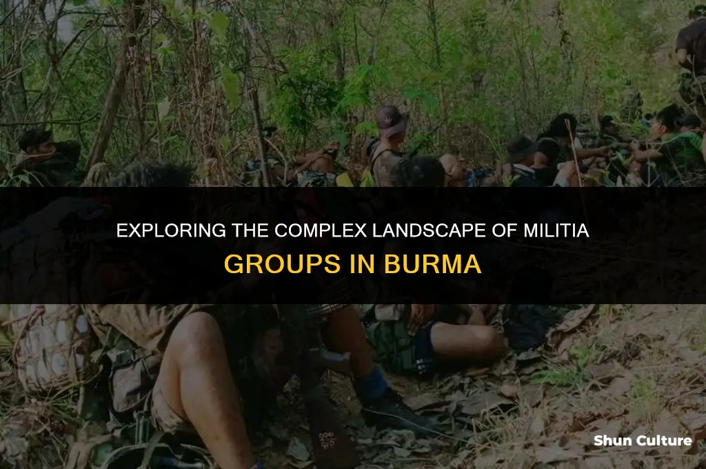 how many militia groups in burma