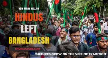 The Exodus of Hindus from Bangladesh: A Million Stories Untold