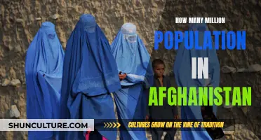 A Nation of Millions: Afghanistan's Population Reaches New Heights