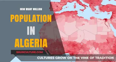 Algeria's Population: Unveiling the Million-Strong Demographics and Growth Trends