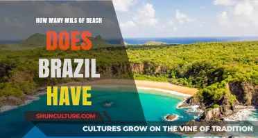 Exploring Brazil's Stunning Coastline: How Many Miles of Beaches?