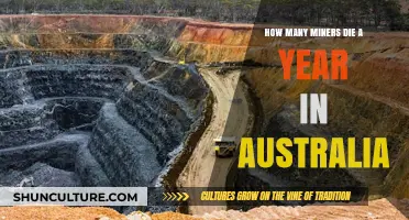 Annual Mining Fatalities in Australia: A Sobering Reality Revealed