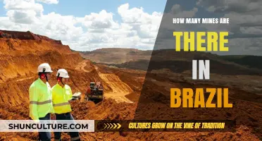 Exploring Brazil's Mining Industry: Uncovering the Number of Mines
