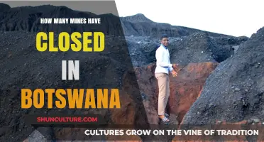 Botswana's Mining Sector: Tracking Recent Mine Closures and Trends