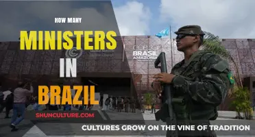 Understanding Brazil's Cabinet: How Many Ministers Serve in Government?