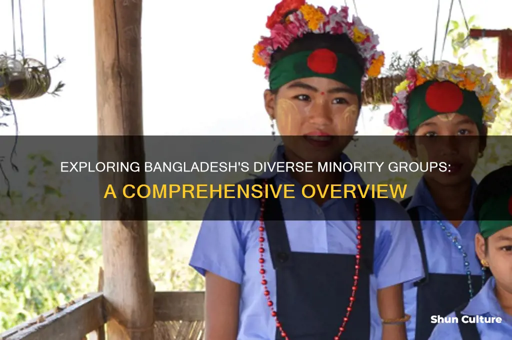 how many minority are there in bangladesh