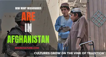 Missionary Work in Afghanistan: Counting the Brave Souls