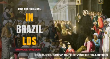 Exploring the Number of LDS Missions in Brazil Today