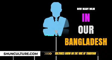 Exploring the Multitude of MLMs Operating in Bangladesh Today