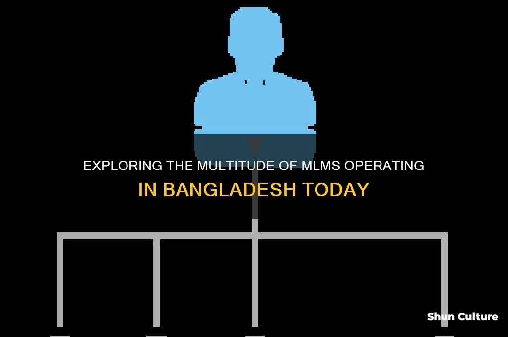how many mlm in our bangladesh