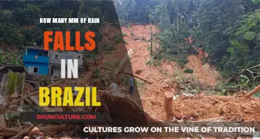 Brazil's Rainfall: Understanding the Annual Millimeter Precipitation Levels