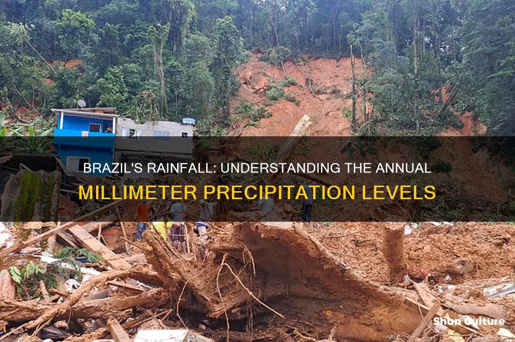 how many mm of rain falls in brazil