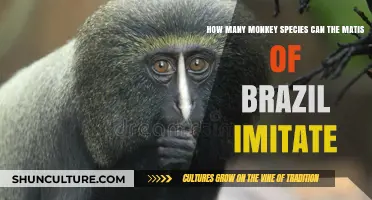 Matis of Brazil: Masters of Mimicking Monkey Species