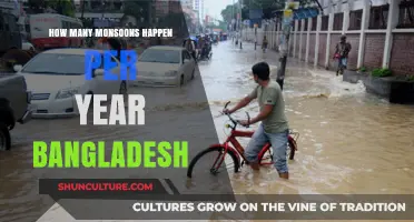Bangladesh's Annual Monsoon Count: Understanding Seasonal Rainfall Patterns
