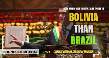 Bolivia vs. Brazil: Comparing Annual Birth Rates and Population Growth