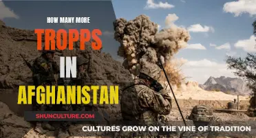 Surge and Strategy: Examining the Troop Increase in Afghanistan