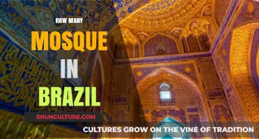 Exploring Brazil's Islamic Presence: Counting Mosques Across the Country