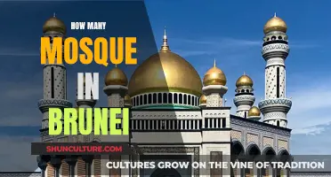 The Many Mosques of Brunei: A Comprehensive Overview