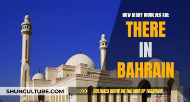 Exploring the Many Mosques of Bahrain: A Comprehensive Guide