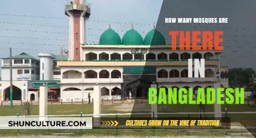 Exploring Bangladesh's Islamic Heritage: Counting the Nation's Mosques