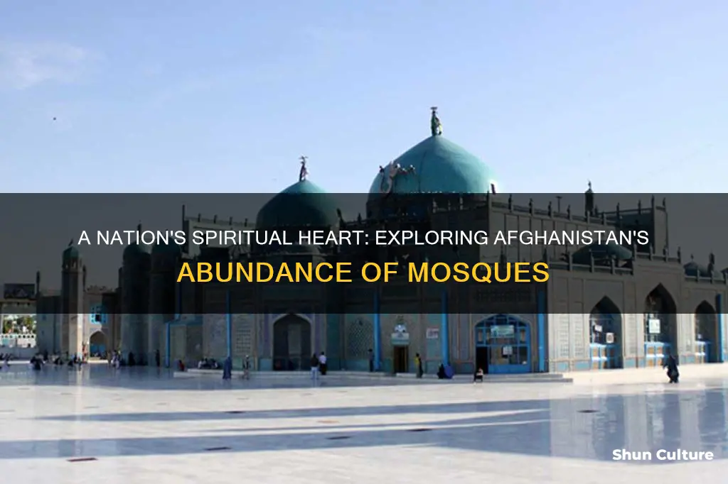 how many mosques in afghanistan