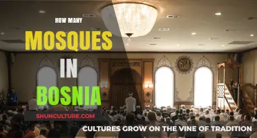 Exploring Bosnia's Rich Islamic Heritage: Counting the Nation's Mosques