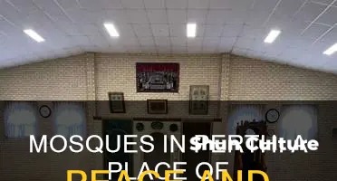 how many mosques in perth western australia